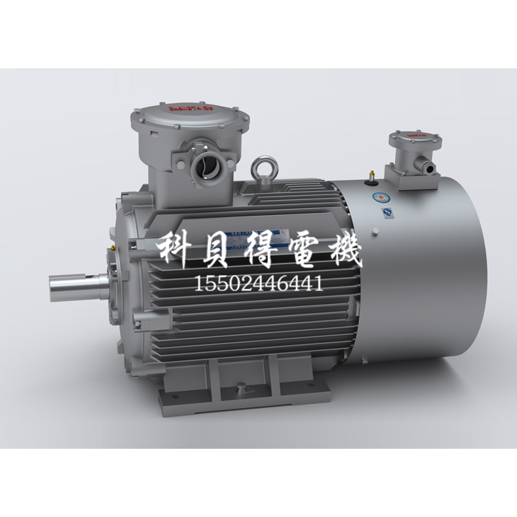 YBBP系列變頻防爆電機(jī)