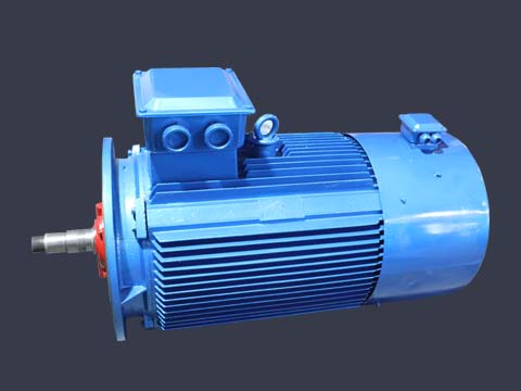 YTSP系列變頻調(diào)速電動(dòng)機(jī)